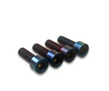 Triple Clamp Titanium Bolts